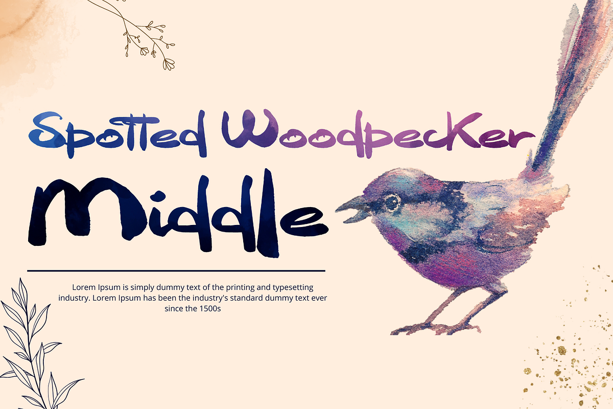 James Herriot Brush Font, a Script Font by 177Studio (Photo 4 of 7)