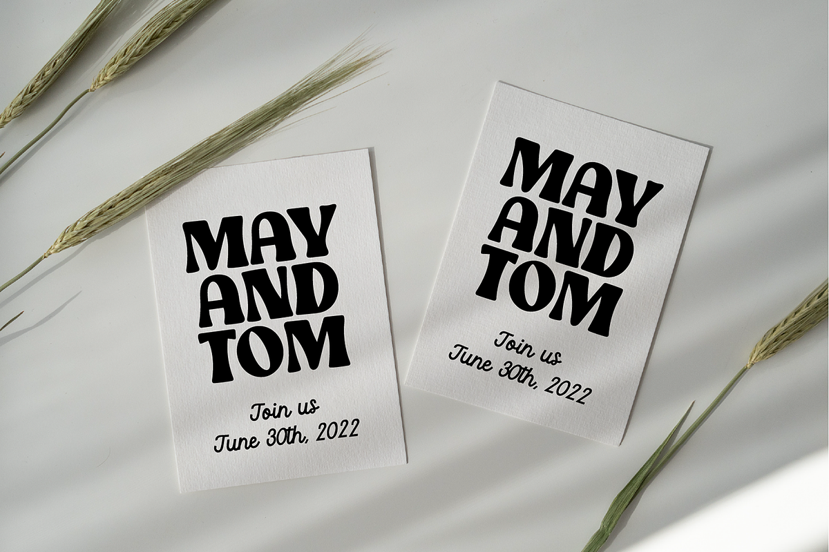 STYLISH MODERN Font Bundle V1, a Sans Serif Font by Blush Font Co. (Photo 3 of 12)