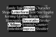 Rovaney - Fancy Font Family, a Serif Font by Arterfak Project (Thumbnail 8 of 15)