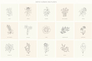 Birth-Flowers. Trendy Plants, Logos, a Seasonal Illustration by Designwork (Thumbnail 2 of 21)