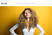 .co|co - shopify theme, a Shopify Template by inSTUDIO43 (Thumbnail 1 of 10)