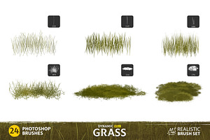 Grass Photoshop Brushes V2