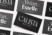 Rovaney - Fancy Font Family, a Serif Font by Arterfak Project (Thumbnail 4 of 15)