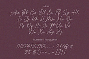 Baked Salmon - Monoline Script Font, a Script Font by Subectype Studio (Thumbnail 9 of 9)
