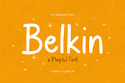 Belkin - Playful Font, a Handwritten Font by Fikry Alfatih (Thumbnail 1 of 5)