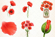 Watercolor Poppies Clipart, an Illustration by Libby Wishes (Thumbnail 3 of 6)