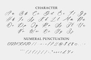 Sustainable Calligraphy Font, a Script Font by Arendxstudio (Thumbnail 8 of 8)