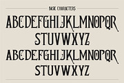 Archsara, a Serif Font by Burntilldead (Thumbnail 8 of 12)