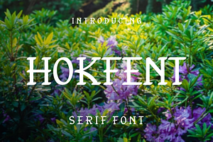 Hokfent