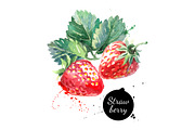 Watercolor Berries Vector Set, a Food Illustration by Elena Pimonova (Thumbnail 3 of 4)