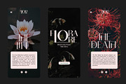 TBJ Milky – 8 Styles Boldly Sans, a Sans Serif Font by Taboja Studio (Thumbnail 8 of 18)