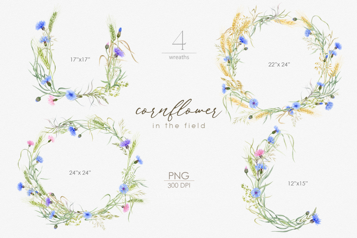 Knapweed and wildflowers collection, an Illustration by ReachDreams (Photo 6 of 12)