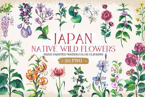 Japan native wild flowers watercolor