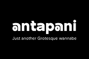 Antapani - Alternative Grotesk, a Sans Serif Font by Monoco Type Foundry (Thumbnail 11 of 12)