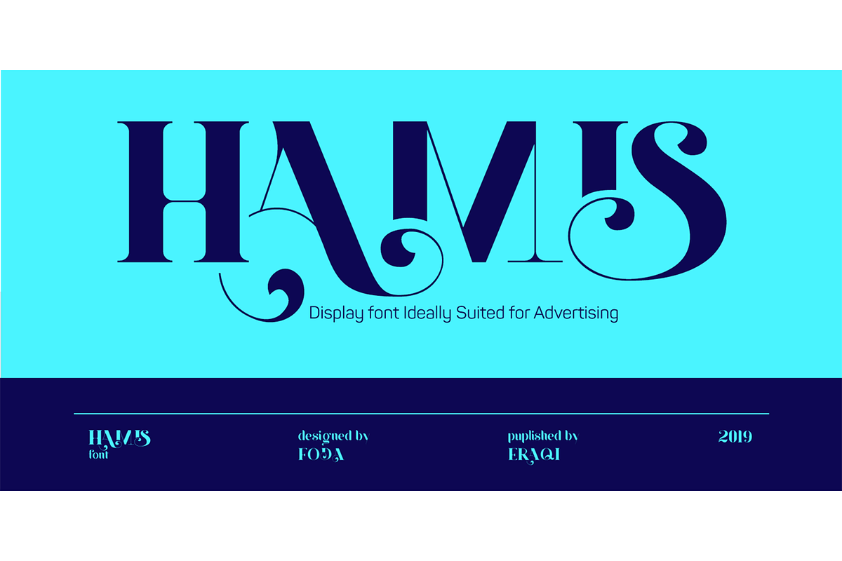 Hamis Font, a Font by Foda Foundry (Photo 4 of 6)