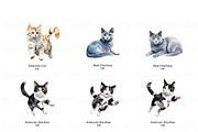 Purebred Cats Clipart, Cat Breeds, an Animal Illustration by BrushstrokeArtGB (Thumbnail 5 of 9)