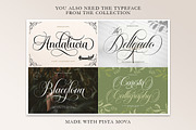 Bailenson, a Script Font by Pista Mova (Thumbnail 11 of 11)