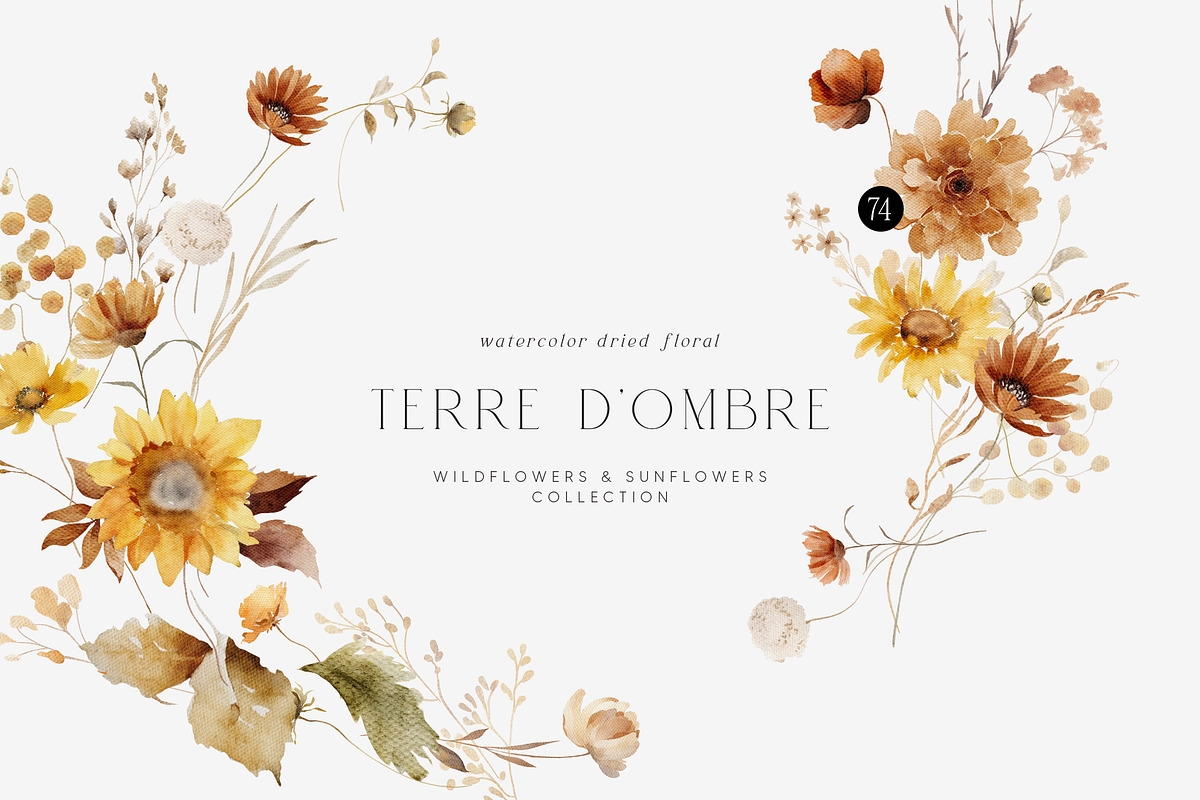 TERRE D'OMBRE Autumn Wildflowers, a Decorative Illustration by Muse Artist (Photo 1 of 13)