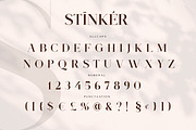 Stinker - Modern Serif Family, a Serif Font by Mokatype Studio (Thumbnail 8 of 11)