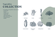 The Vegetables Collection, a Food Illustration by dicreate (Thumbnail 4 of 14)