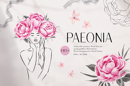 Peony Watercolor Collection