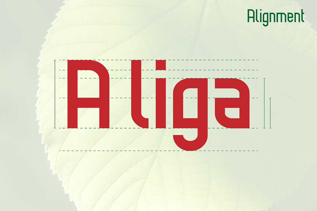 Daun - a Natural Sans Serif, a Sans Serif Font by lutfiachmad1 (Photo 3 of 4)