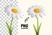 Garden 3d Daisy Illustrations!, a Plants & Tree 3D Model by Hannet (Thumbnail 3 of 4)