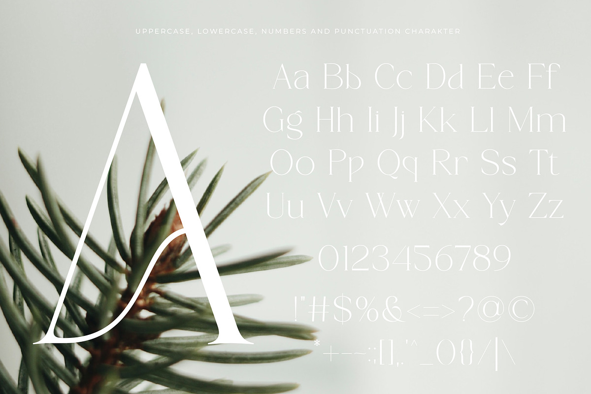 Cremore - Luxury Serif Typeface, a Serif Font by Muflieart (Photo 9 of 10)