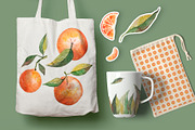 Watercolor Orange Fruit Clipart, a Food Illustration by Dina Guiter (Thumbnail 10 of 10)