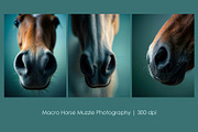 Macro Horse Muzzle, an Animal Illustration by StockVerse Creative (Thumbnail 1 of 4)