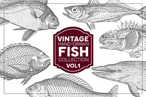Vintage Fish Collection - vol1