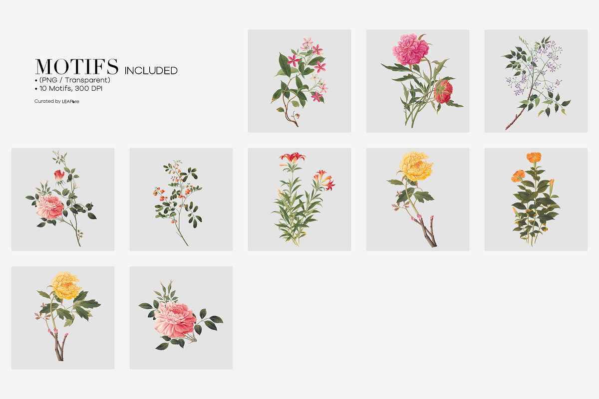Botanical Garden Floral Prints, a Pattern Graphic by LEAFure (Photo 9 of 10)
