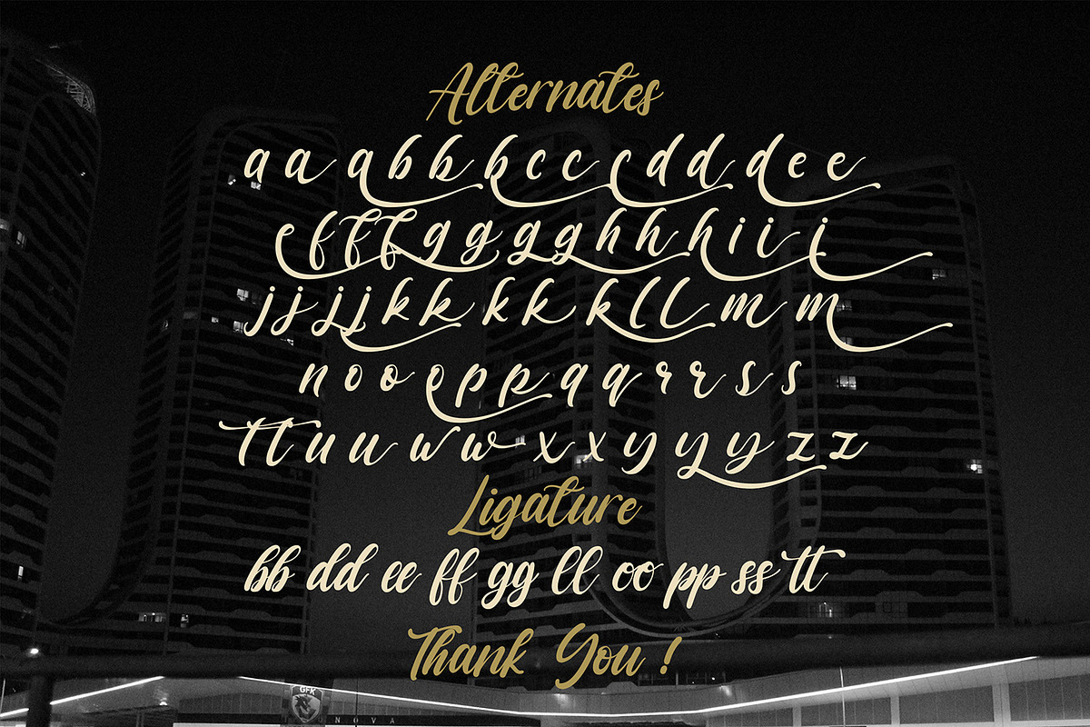 Vagnotie - Modern Brush Font, a Script Font by StringLabs (Photo 11 of 11)