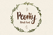 Peomy Extended Font & Illustrations, a Script Font by Wild Ones (Thumbnail 1 of 13)