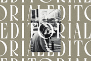 Fragilità - A Retro Ligature Serif, a Serif Font by SilverStag Type Foundry (Thumbnail 10 of 26)