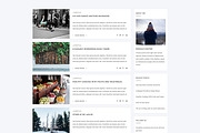 Aresivel -WordPress Blog Theme, a WordPress Template by myshopkit (Thumbnail 8 of 14)