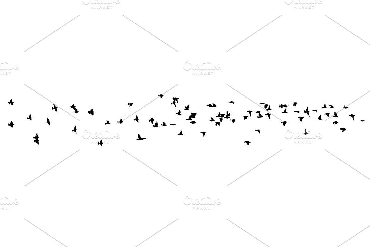 Flying birds silhouette flock. hand, an Animal Illustration by Nenahliadava Design