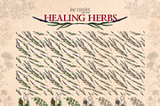 Healing Herbs * Botanical Bundle, a Healthcare Illustration by Ink Stories (Thumbnail 5 of 13)