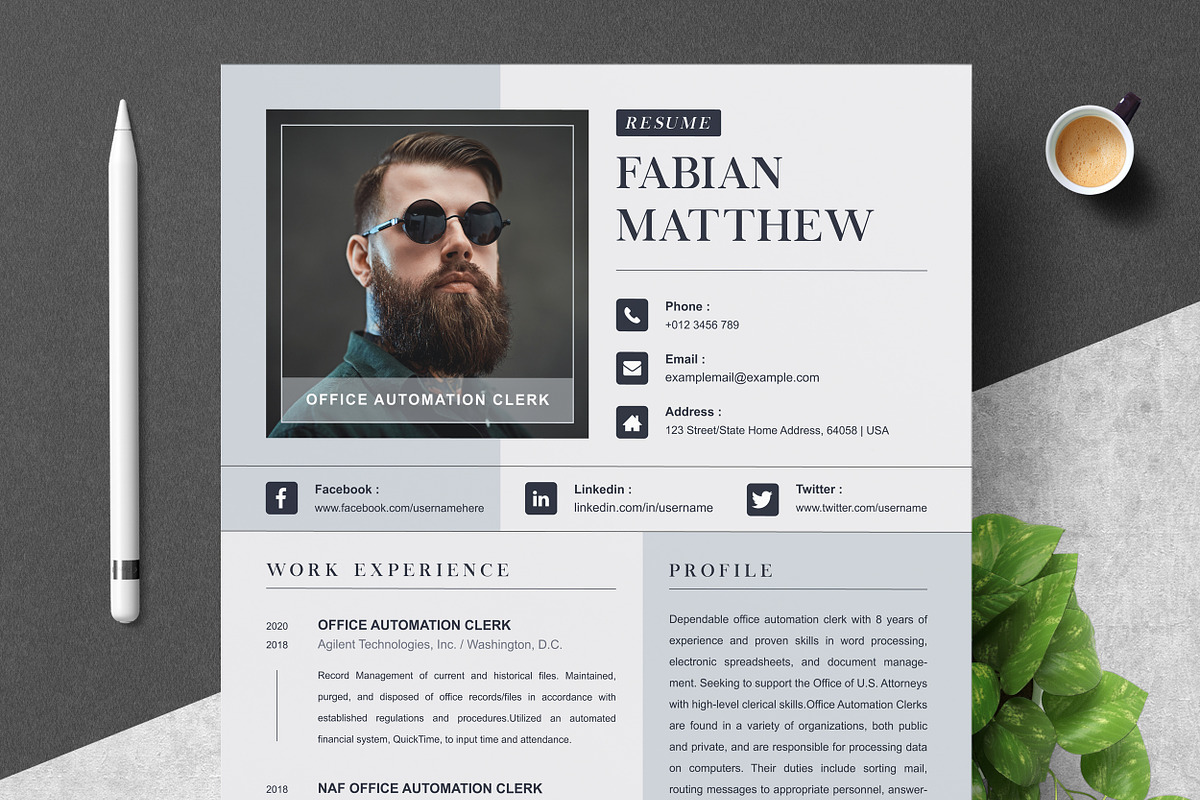 Modern Executive CEO Resume Template