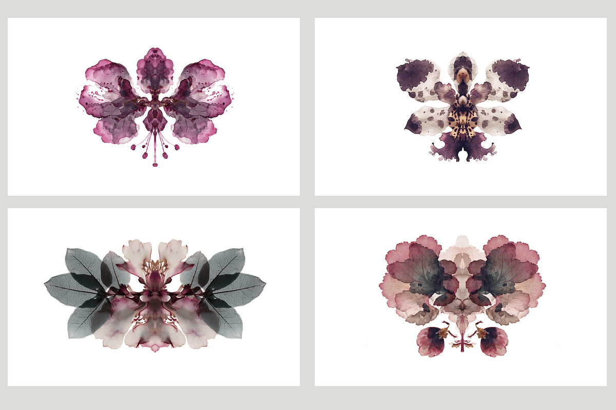 Heum Co. Botanical Inkblot Art, a Decorative Illustration by milatovar (Photo 3 of 20)