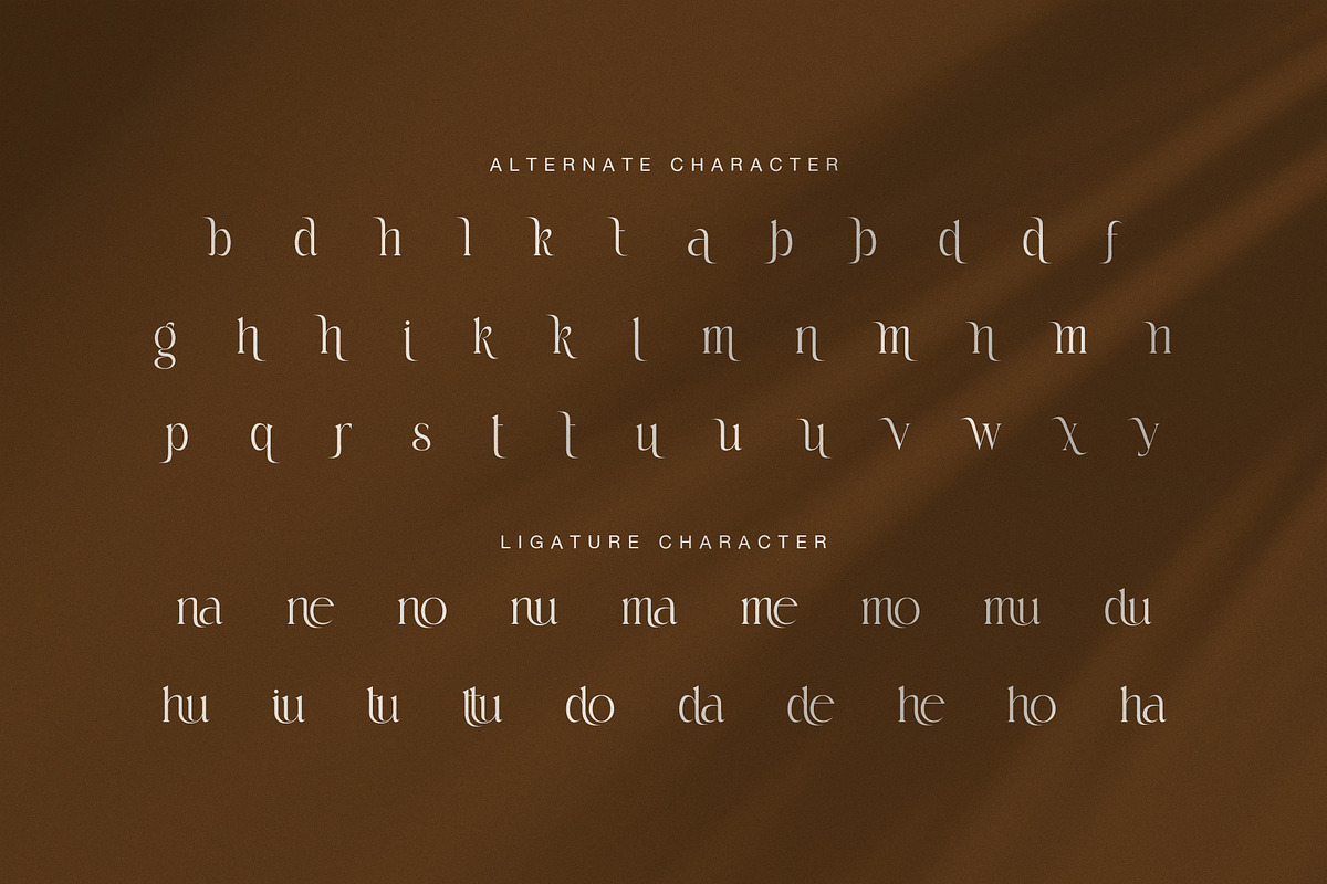 Rokina Elegant Serif Font, a Serif Font by Graphicxell (Photo 8 of 8)