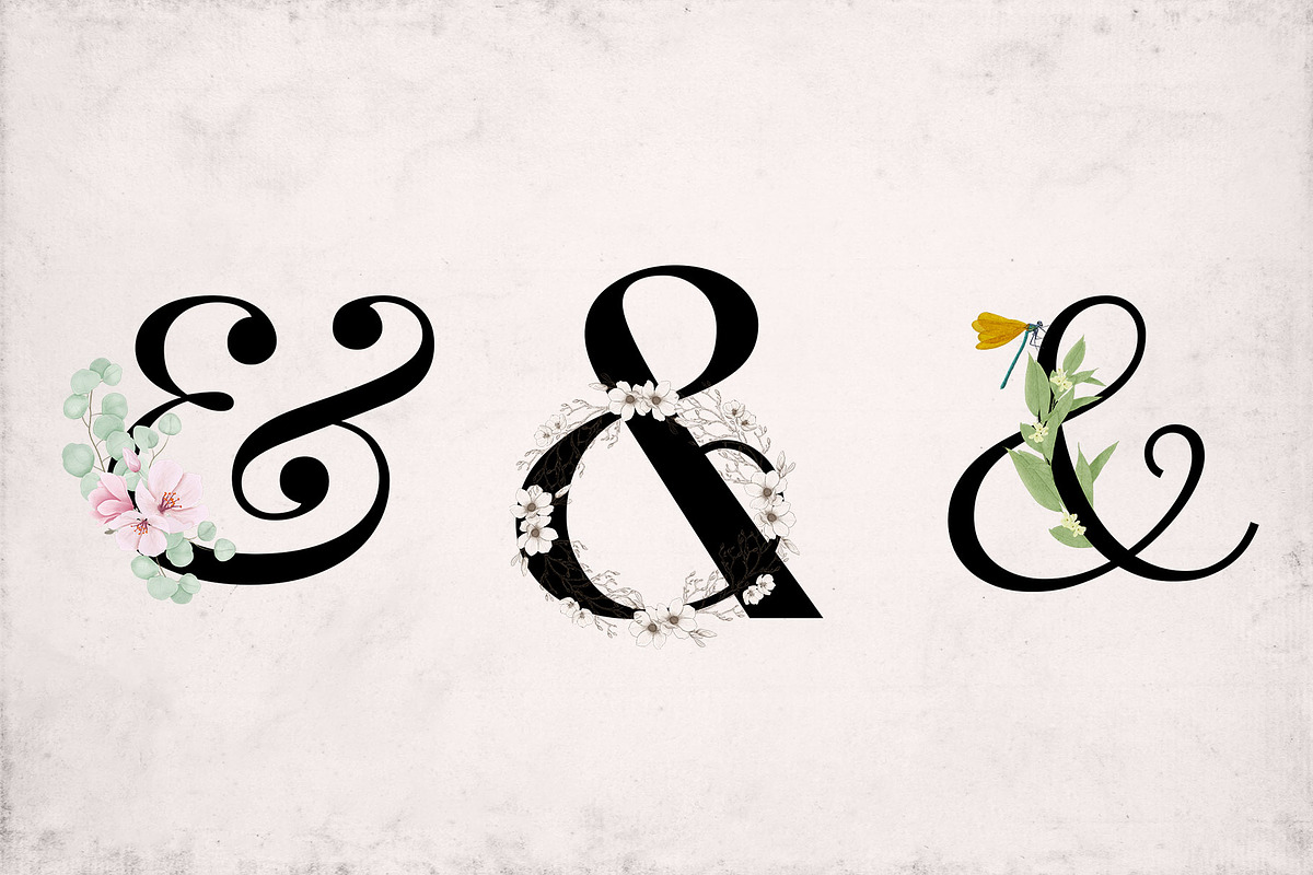 Ornate Ampersands, a Decorative Illustration by Maggie Stilwell Design (Photo 11 of 13)