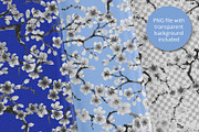 Cherry Blossom (Seamless Patterns), a Pattern Graphic by Sveta Aho (Thumbnail 2 of 5)