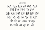 Rakige - Elegant Corporate Ligature, a Serif Font by Sealoung (Thumbnail 9 of 10)