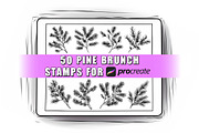 50 Pine brunch Procreate Stamps, a Brush Add-On by Procreate Sale (Thumbnail 1 of 6)