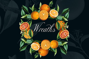 Vintage Orange Citrus Collection