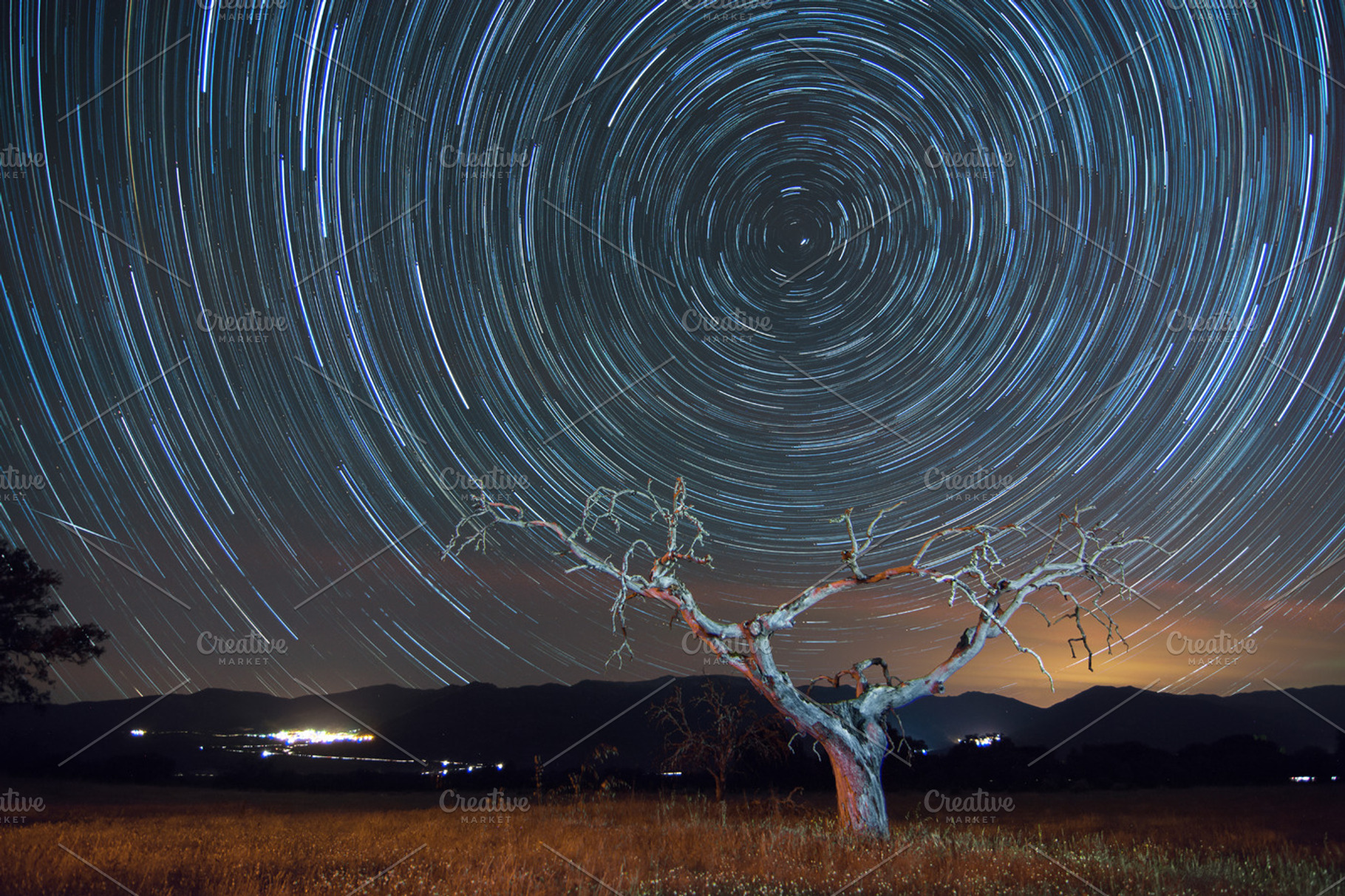 Star Trails Tree Featuring Star Trails And Tree