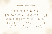 Salute - Modern Vintage Beauty Font, a Serif Font by Sensatype (Thumbnail 21 of 21)