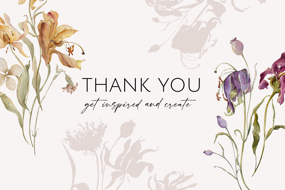 Garden Aesthetic dry flowers, a Decorative Illustration by Yuliia Lashevska (Photo 14 of 14)