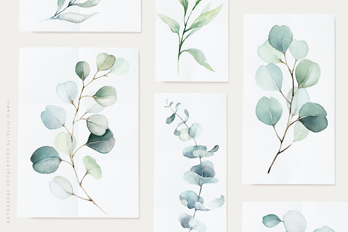 Watercolor Eucalyptus Green Floral, a Decorative Illustration by Veris Studio (Photo 11 of 25)